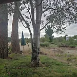 Cabanas El Trebol, A 5 Minutos Del Aeropuerto