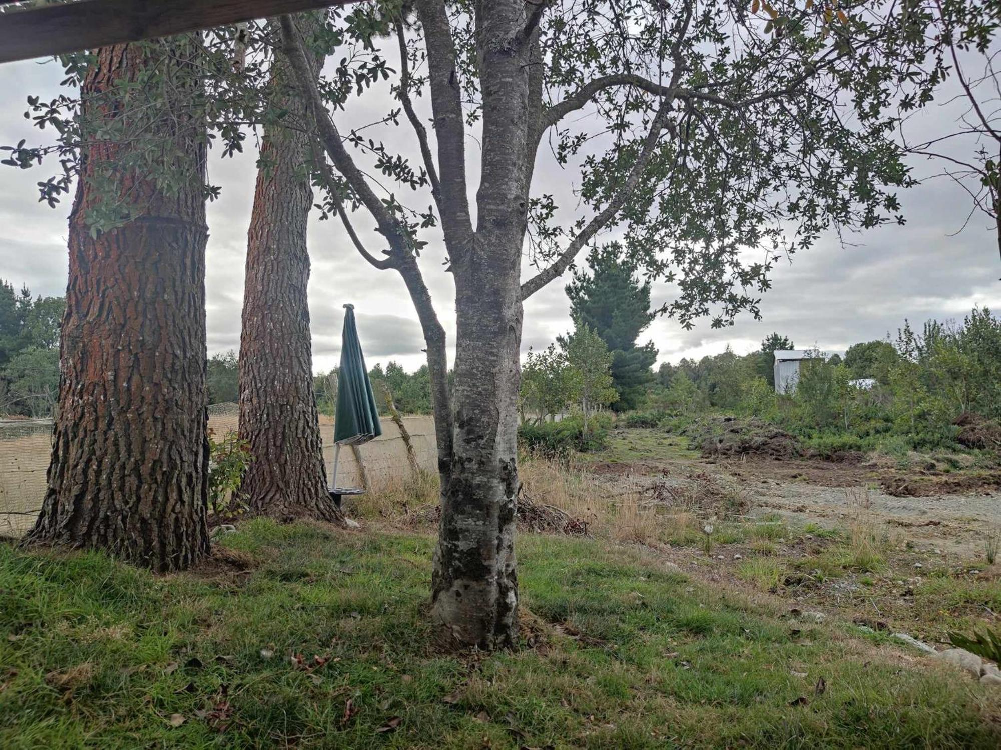 Apartamento El Trebol, A 5 Minutos Del Aeropuerto *